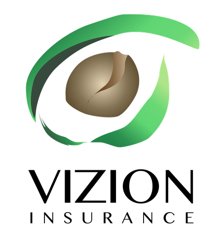 Vizion Insurance